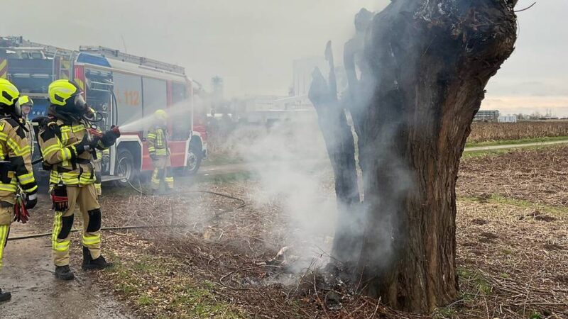 Einsatz am Karnevalswochenende: Feuerwehr Alpen fällt brennenden Baum