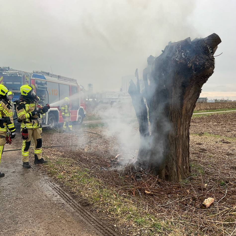 Einsatz am Karnevalswochenende: Feuerwehr Alpen fällt brennenden Baum