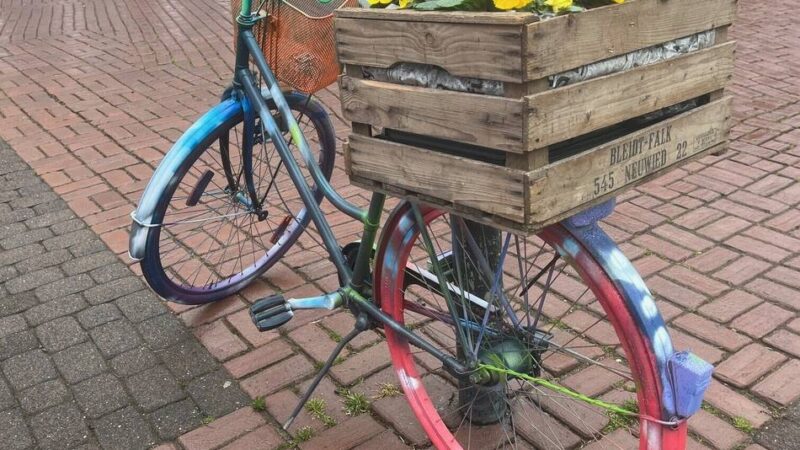 Aktionstag in der Burggemeinde: „Brüggen erblüht“ am 1. März