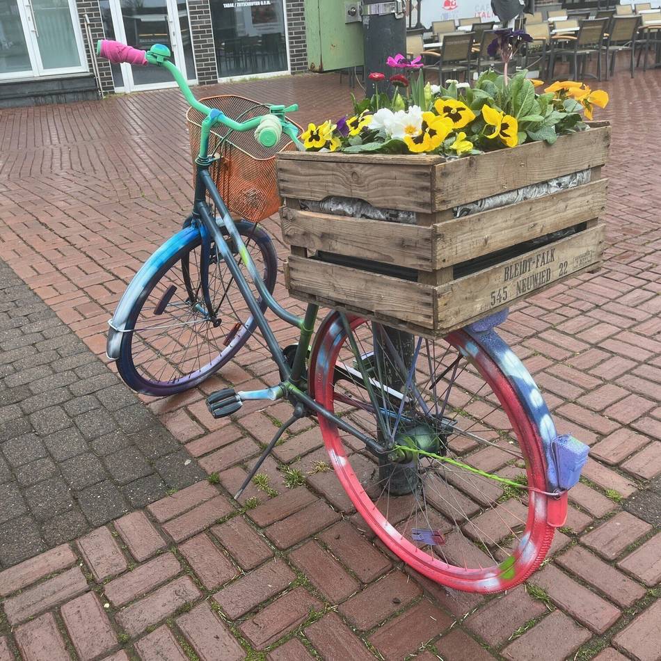 Aktionstag in der Burggemeinde: „Brüggen erblüht“ am 1. März