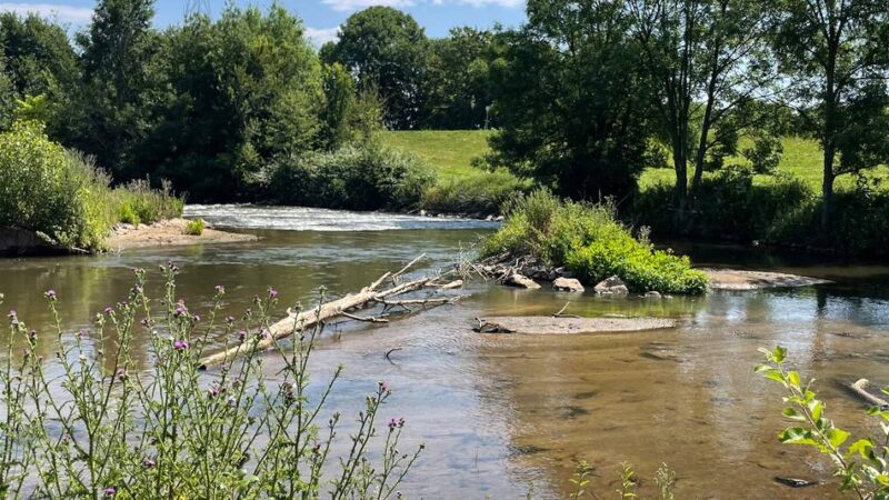 Exkursion des Erftverbandes in Neuss: Besondere Eindrücke von der renaturierten Erft