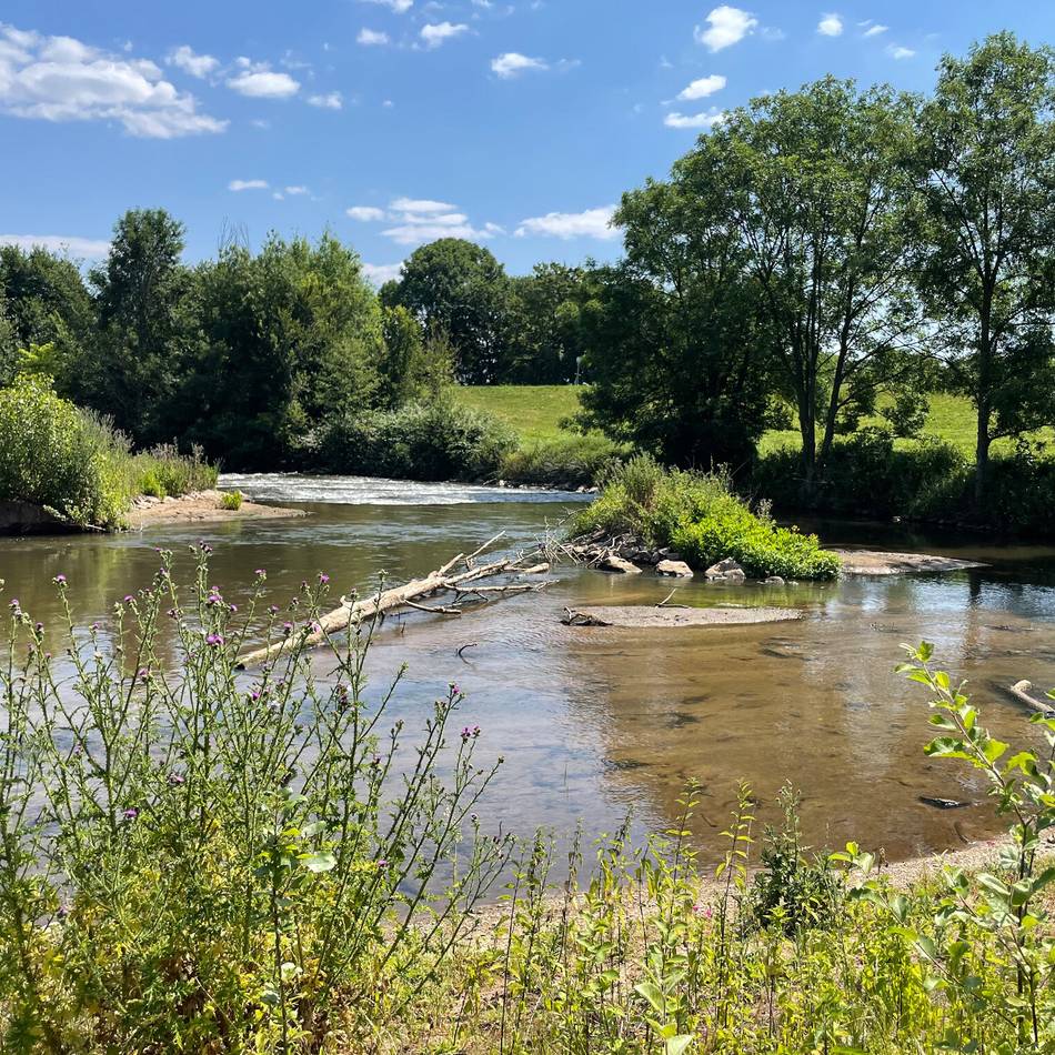 Exkursion des Erftverbandes in Neuss: Besondere Eindrücke von der renaturierten Erft