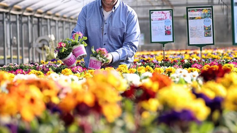 Bunte Farbtupfer in Mettmann: Hier kommen echte Frühlingsgefühle auf