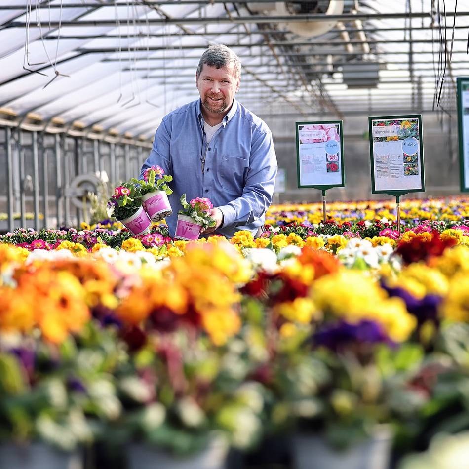 Bunte Farbtupfer in Mettmann: Hier kommen echte Frühlingsgefühle auf