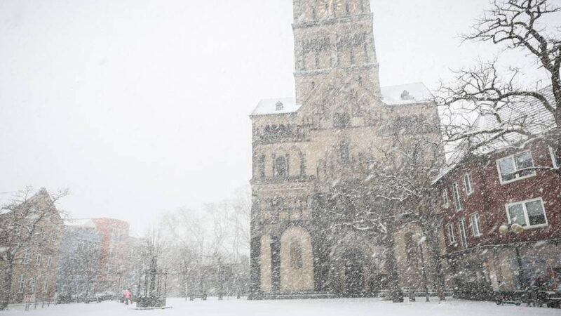 Index für den Rhein-Kreis Neuss: So stark ist die Bedrohung durch den Klimawandel