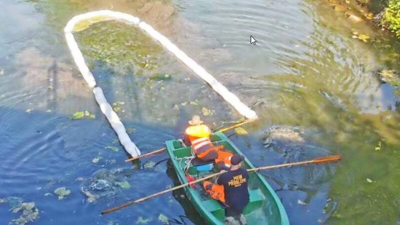 Kapps Teich: Der Krapps Teich in Wülfrath soll saniert werden