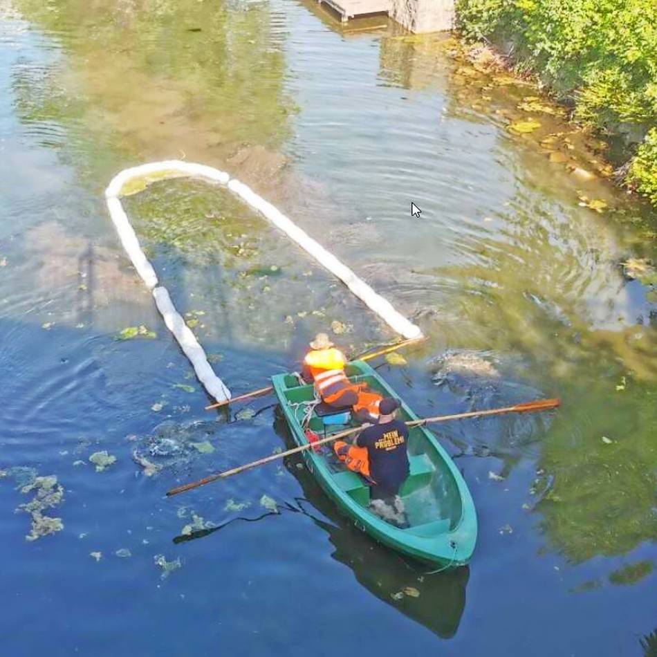 Kapps Teich: Der Krapps Teich in Wülfrath soll saniert werden