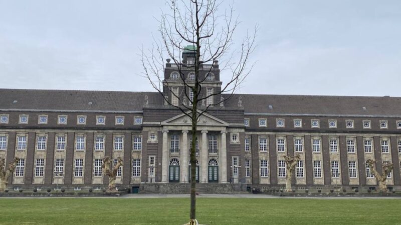 Straßen- und Parkbäume in Krefeld: KBK startet in die Pflanzsaison 2026