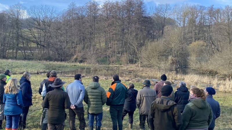 Erstes Netzwerkstreffen: Biberpaten verhindern Konflikte und mögliche Gefahren