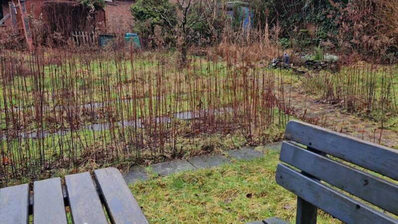 Mitmachen erwünscht: Hobbygärtner für Projekt in Tiefenbroich gesucht