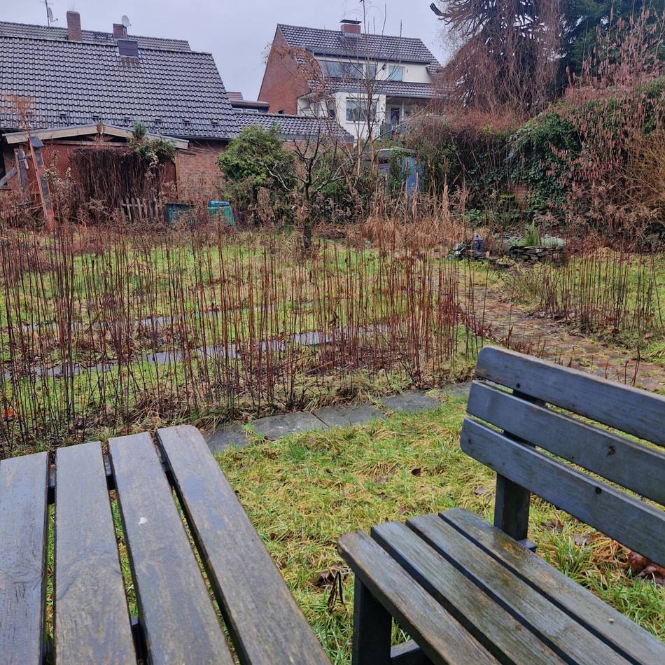 Mitmachen erwünscht: Hobbygärtner für Projekt in Tiefenbroich gesucht