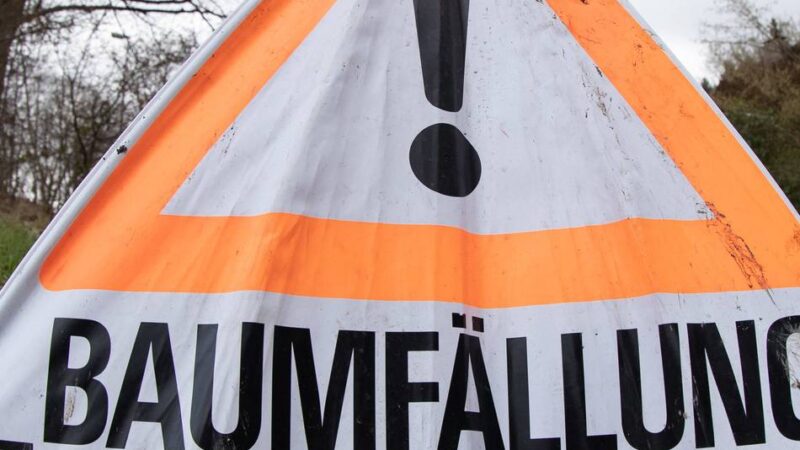 Autobahn-Ausbau in Krefeld: A57: Ab Montag werden Bäume gefällt