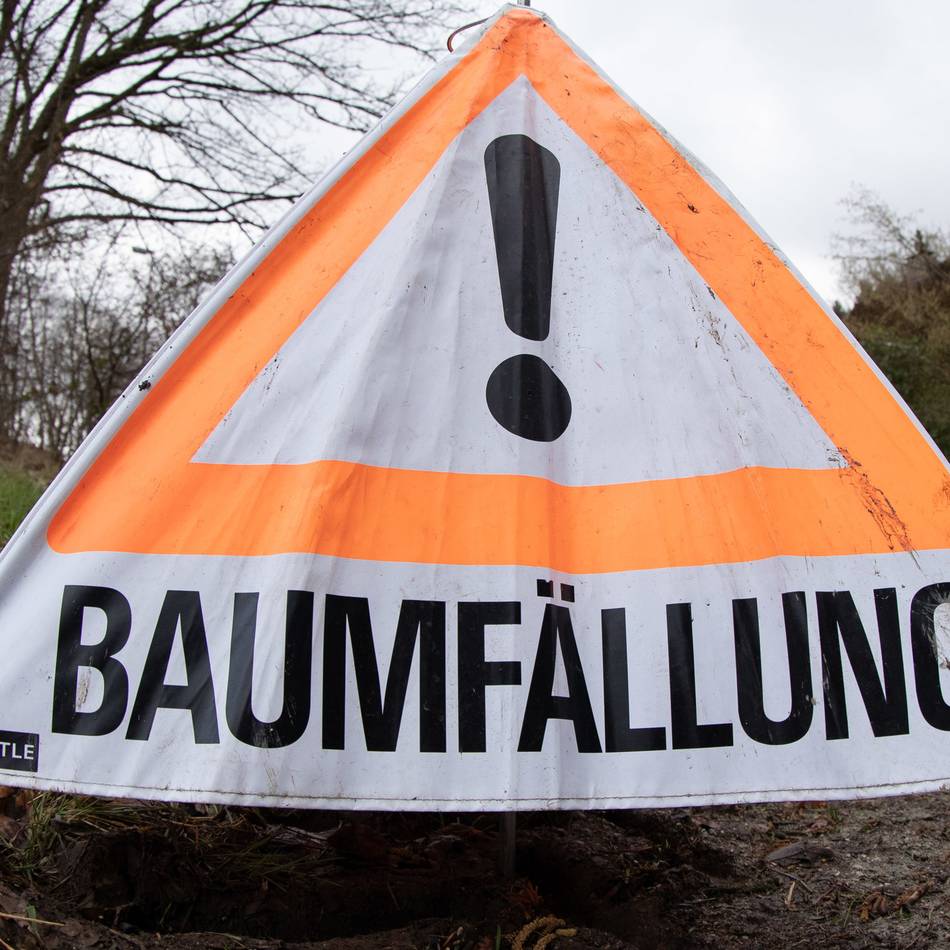 Autobahn-Ausbau in Krefeld: A57: Ab Montag werden Bäume gefällt