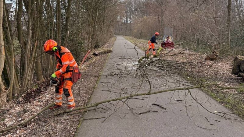 Stadt Wermelskirchen informiert: Rodungsarbeiten an der Balkantrasse werden fortgesetzt
