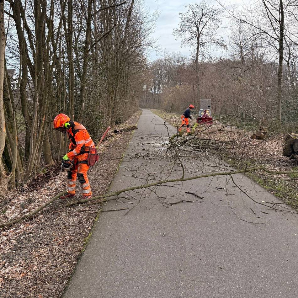 Stadt Wermelskirchen informiert: Rodungsarbeiten an der Balkantrasse werden fortgesetzt