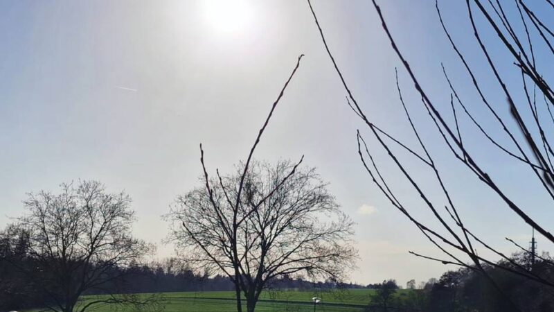 Umstrittener Nahversorger in Mettmann: Supermarkt an Hasseler Straße kommt vorerst nicht