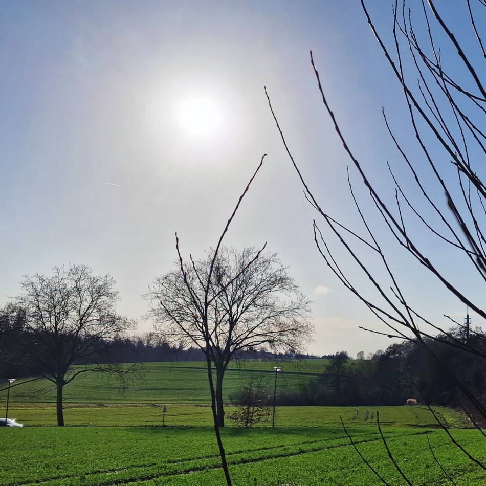 Umstrittener Nahversorger in Mettmann: Supermarkt an Hasseler Straße kommt vorerst nicht