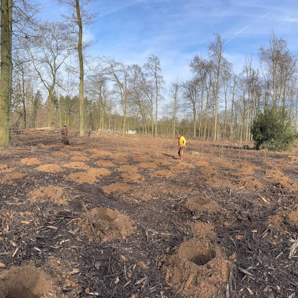 Naturschutz in Krefeld: KBK forstet Wälder mit 3000 Jungbäumen auf