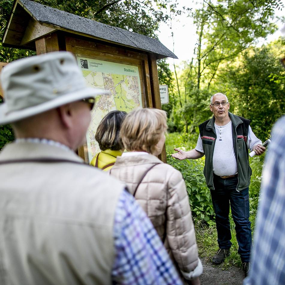 Natur in Düsseldorf: Im März geht es wieder durch das städtische Grün