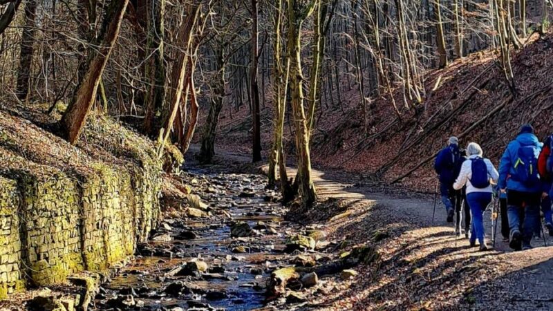 SGV Langenfeld/Monheim: Neues Angebot des SGV – „Gesundheitswandern“ an drei Terminen