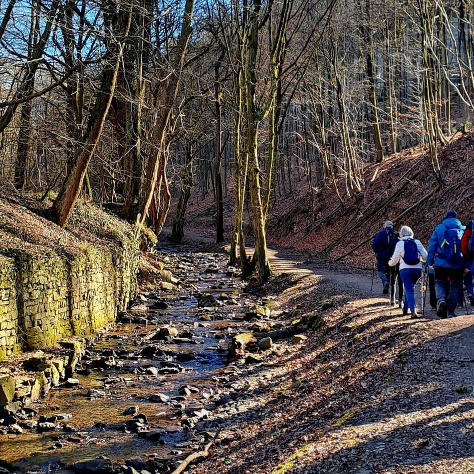 SGV Langenfeld/Monheim: Neues Angebot des SGV – „Gesundheitswandern“ an drei Terminen