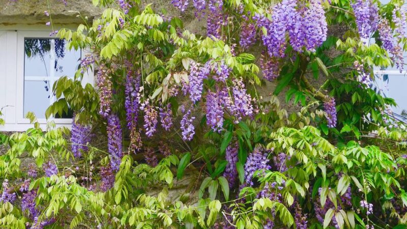 Förderprogramme in Düsseldorf: Barrierefrei wohnen und Fassaden verschönern