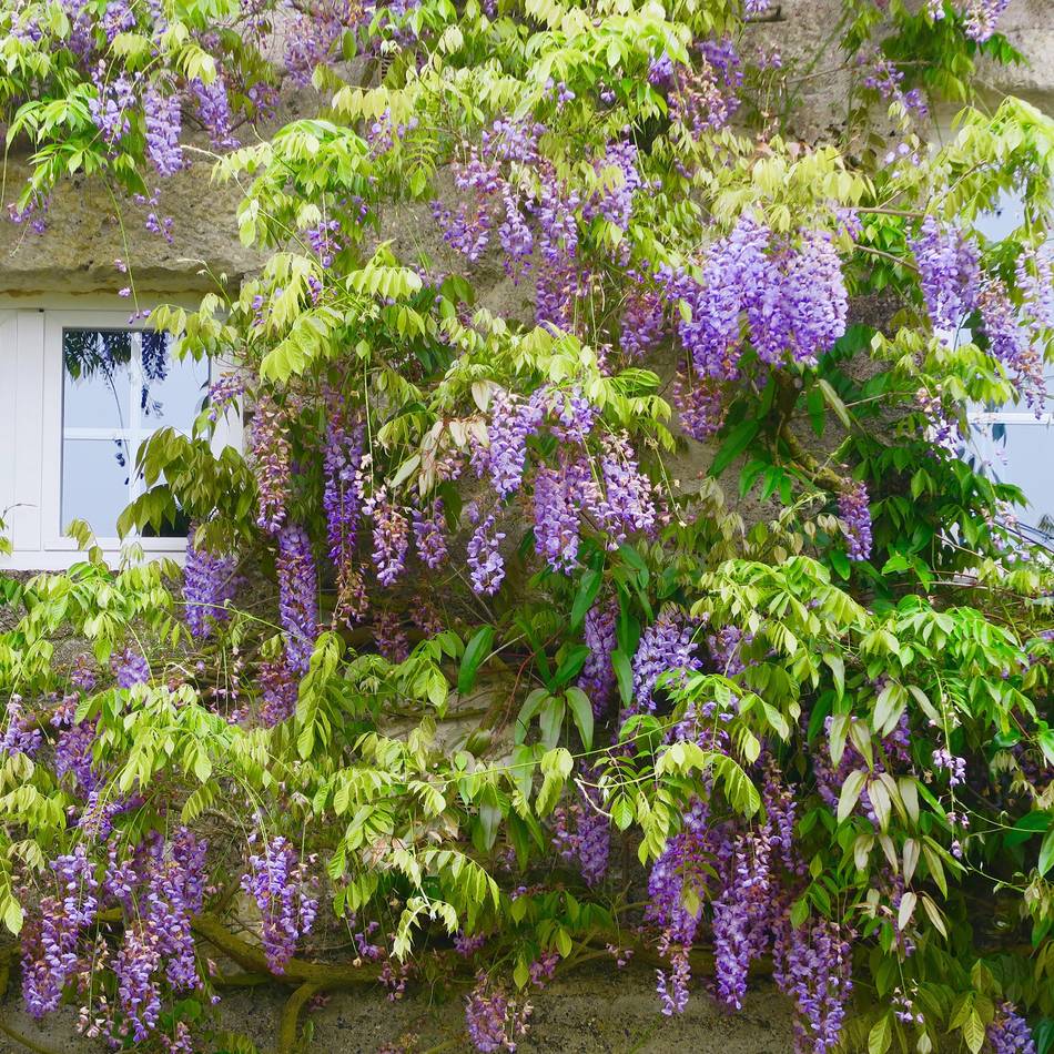 Förderprogramme in Düsseldorf: Barrierefrei wohnen und Fassaden verschönern