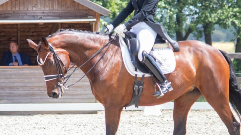 Reitsport am Niederrhein:  Xanten wird zur Bühne für Dressursport auf höchstem Niveau
