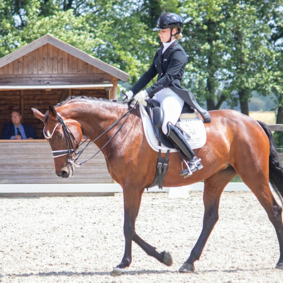Reitsport am Niederrhein:  Xanten wird zur Bühne für Dressursport auf höchstem Niveau