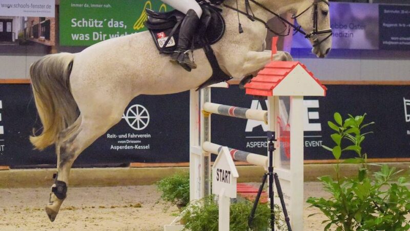 Alle Höhepunkte im Überblick: Der RFV Asperden-Kessel feiert seinen Nachwuchs