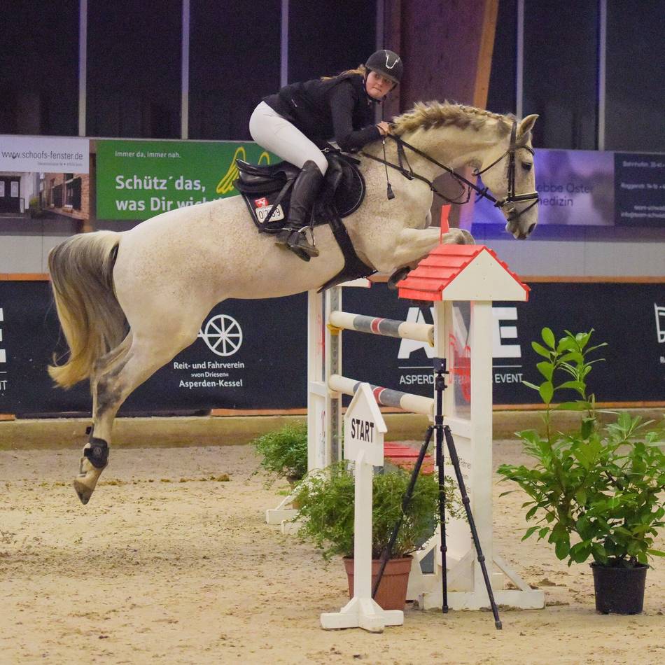 Alle Höhepunkte im Überblick: Der RFV Asperden-Kessel feiert seinen Nachwuchs