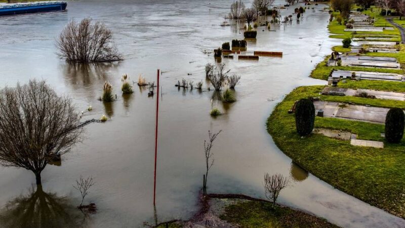 Hochwasser: Rhein bei Monheim steigt langsam an