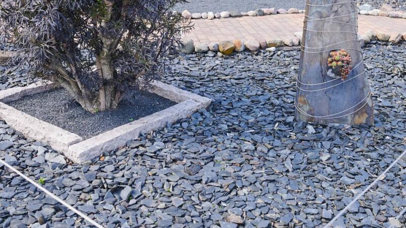 Antrag von Volt/Bürgerliste: Stadt Leverkusen lehnt „repressives Vorgehen“ gegen Schottergärten ab