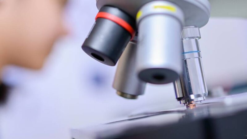 Hilden jubelt: Chemie-AG feiert doppelten Triumph bei „Jugend forscht“