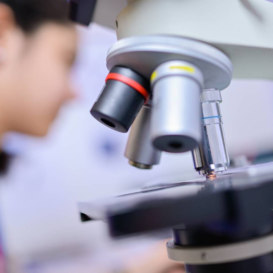 Hilden jubelt: Chemie-AG feiert doppelten Triumph bei „Jugend forscht“