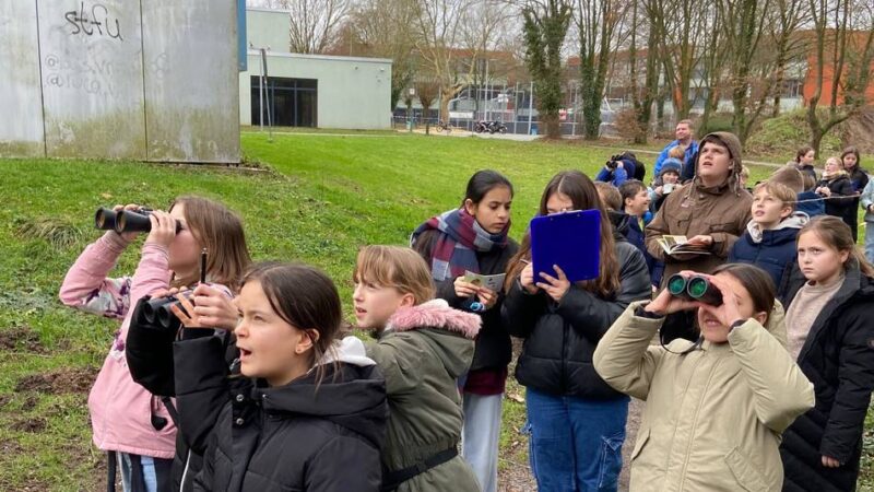 Gute Beobachter: Gymnasiasten zählen und malen Vögel in Kalkar