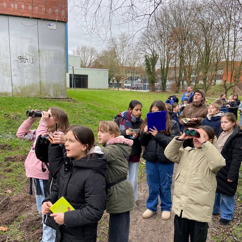 Gute Beobachter: Gymnasiasten zählen und malen Vögel in Kalkar