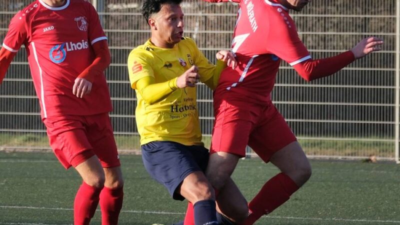 Posse um das Stadion Ratingen: Apfeld: „Wahrscheinlich ist es jetzt zu warm für Rasenpflege“