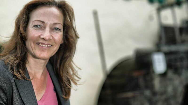 Politik in Mettmann: FDP kritisiert Bürgermeister wegen Haushaltssitzung