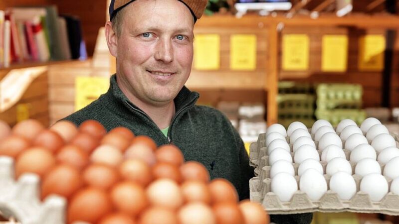 Knappheit in Hilden und Haan: Warum Eier derzeit Mangelware sind