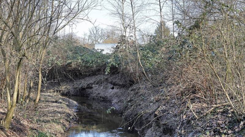 Bauarbeiten der Stadt Hilden: Hochwasserschutz – Regenrückhaltebecken wird erweitert