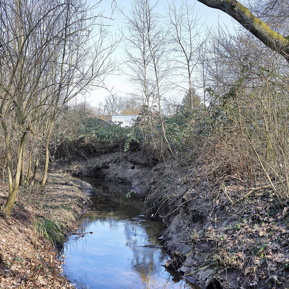 Bauarbeiten der Stadt Hilden: Hochwasserschutz – Regenrückhaltebecken wird erweitert