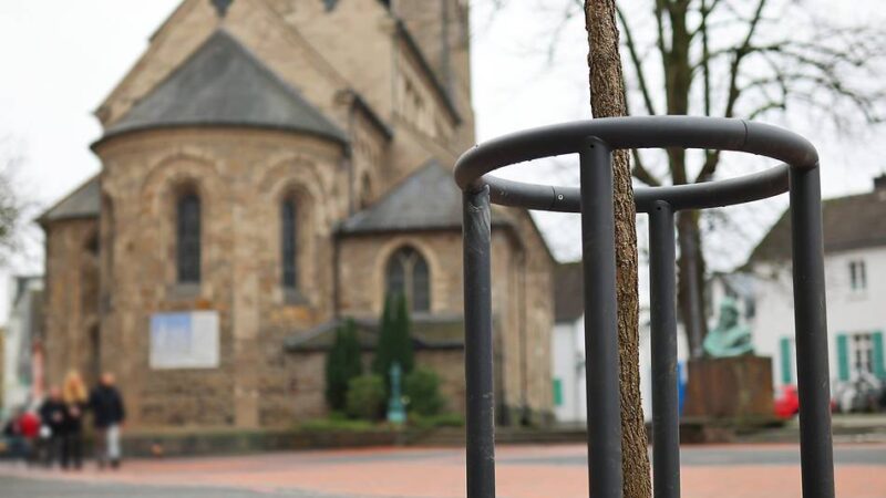 In der Fußgängerzone in Hilden: Die Bäume sind zurück – ihre Wurzeln haben nun mehr Platz