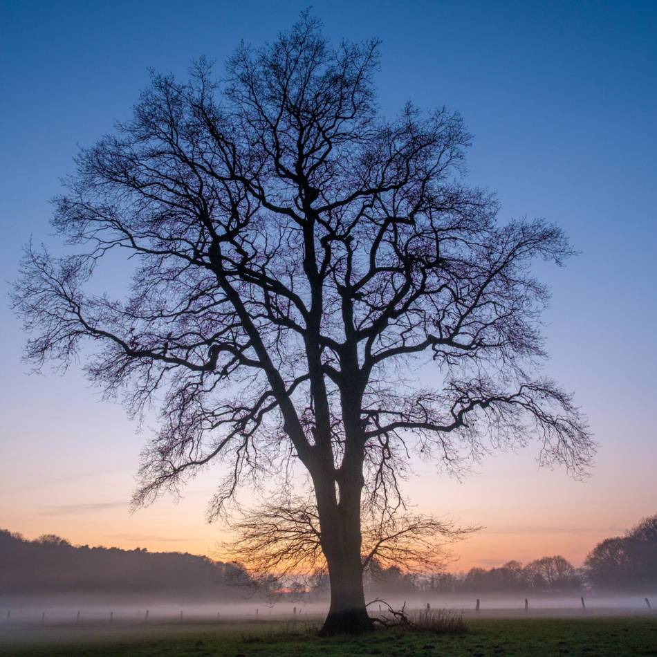 Bildgedanken: Kleine Wunder