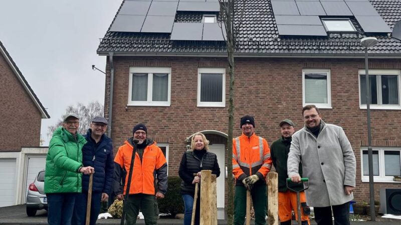 Aktion in Radevormwald: Am Eichenweg wächst jetzt eine neue Eiche