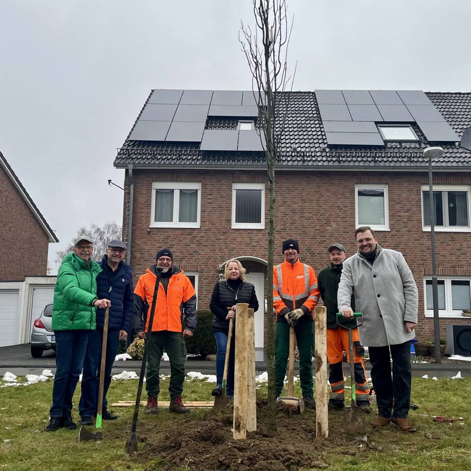 Aktion in Radevormwald: Am Eichenweg wächst jetzt eine neue Eiche
