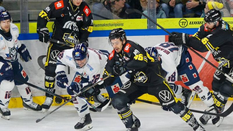 2:3 gegen Kassel: Einbruch im Schlussdrittel – Pinguine verpassen vorzeitigen Hauptrunden-Titel