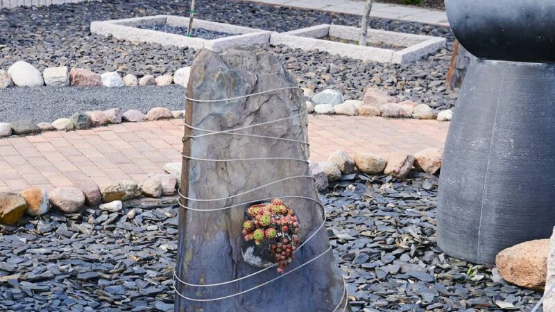 Ungewöhnliches Projekt für die Neusser Laga: Schottergärten erleben ihr grünes Wunder