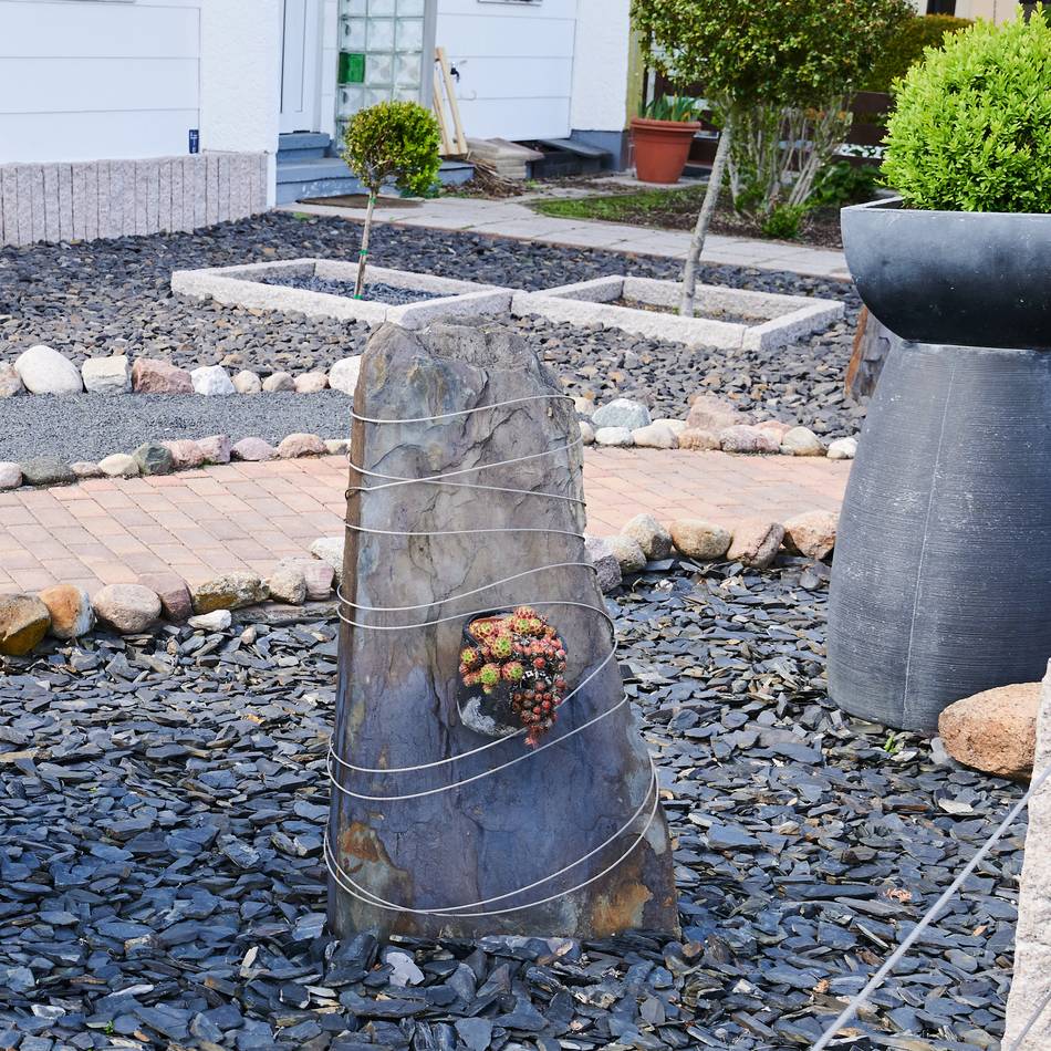 Ungewöhnliches Projekt für die Neusser Laga: Schottergärten erleben ihr grünes Wunder