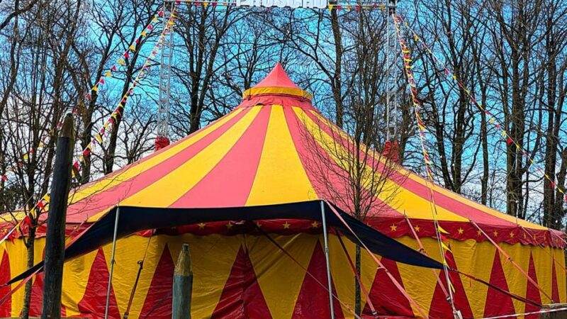 Waldschule in Wermelskirchen: Manege statt Mathe